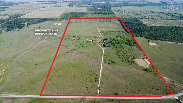 a view of a bird bath