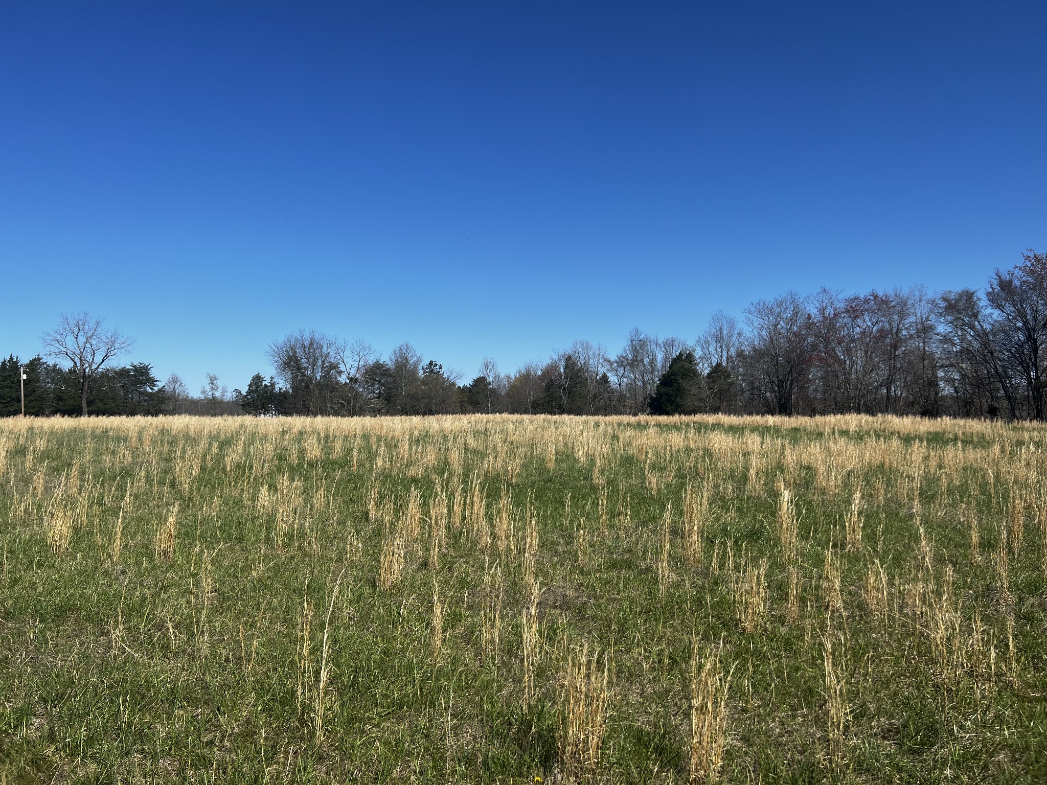 4 Goff Ridge Road Baxter, TN 38544 - Photo 3 of 5 a view of a lake with houses in the back