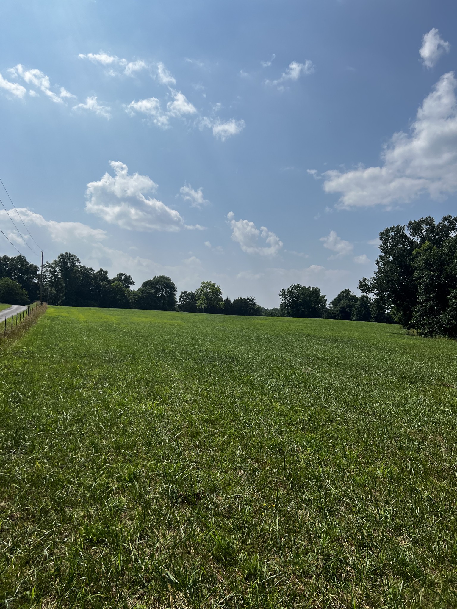4 Goff Ridge Road Baxter, TN 38544 - Photo 4 of 5 a view of yard with swimming pool and green space