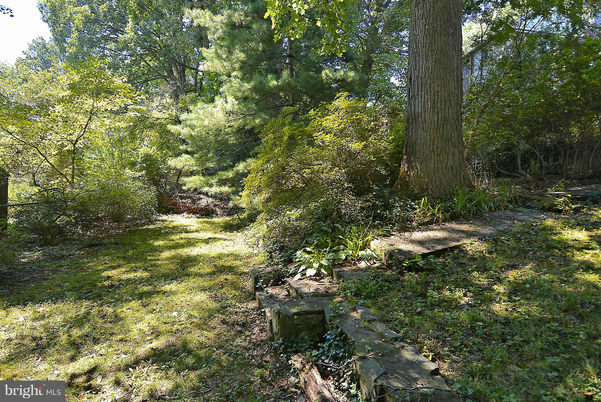 8411 Galveston Road Silver Spring, MD 20910 - Photo 18 of 23 Exterior (Rear)