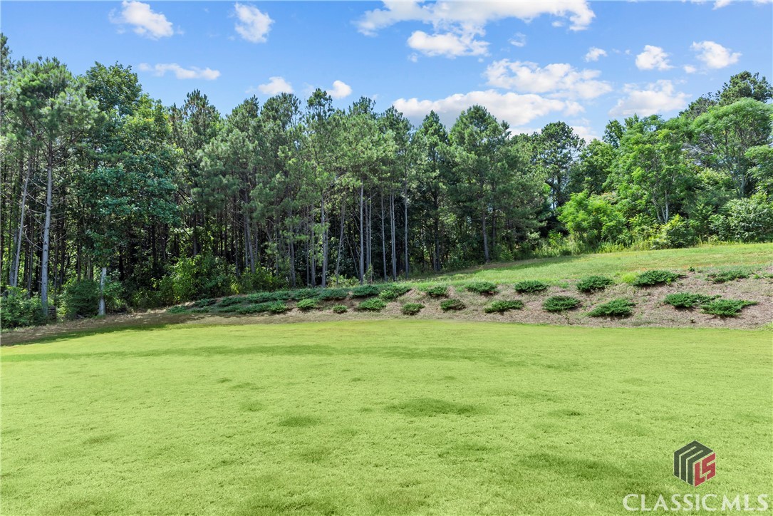 65 Harold's Way Colbert, GA 30628 - Photo 42 of 53 Gallery Image 42