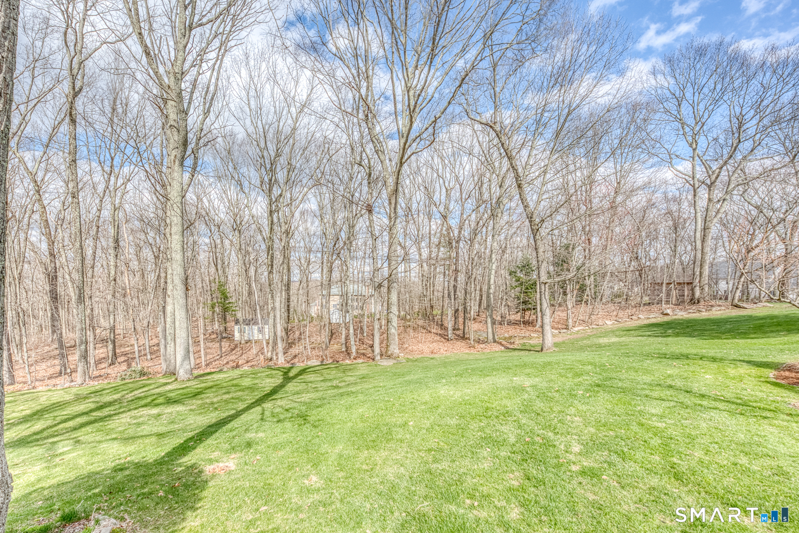 133 Feldspar Ridge Glastonbury, CT 06033 - Photo 12 of 56