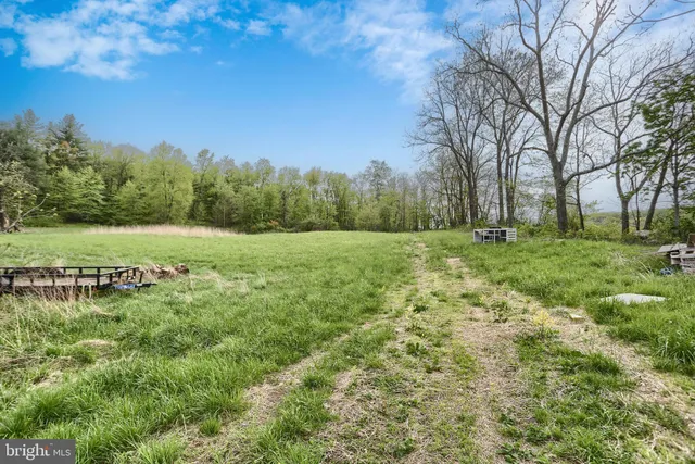a view of a field with trees in the background