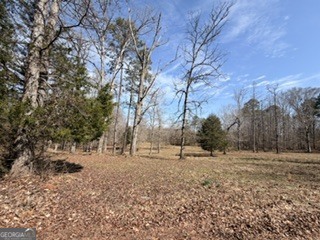 486 Walthall Road Jackson, GA 30233 - Photo 2 of 5