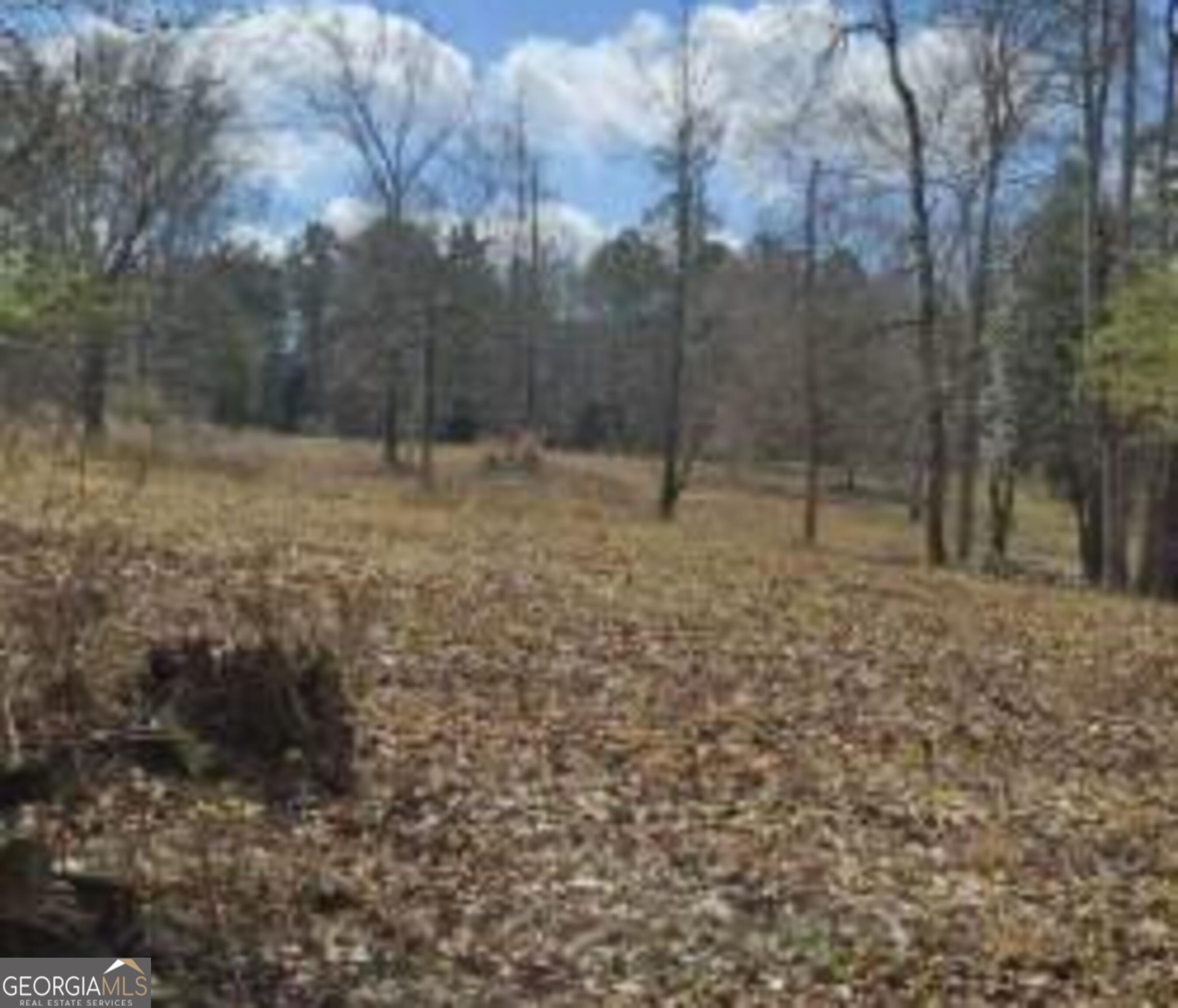 486 Walthall Road Jackson, GA 30233 - Photo 3 of 5