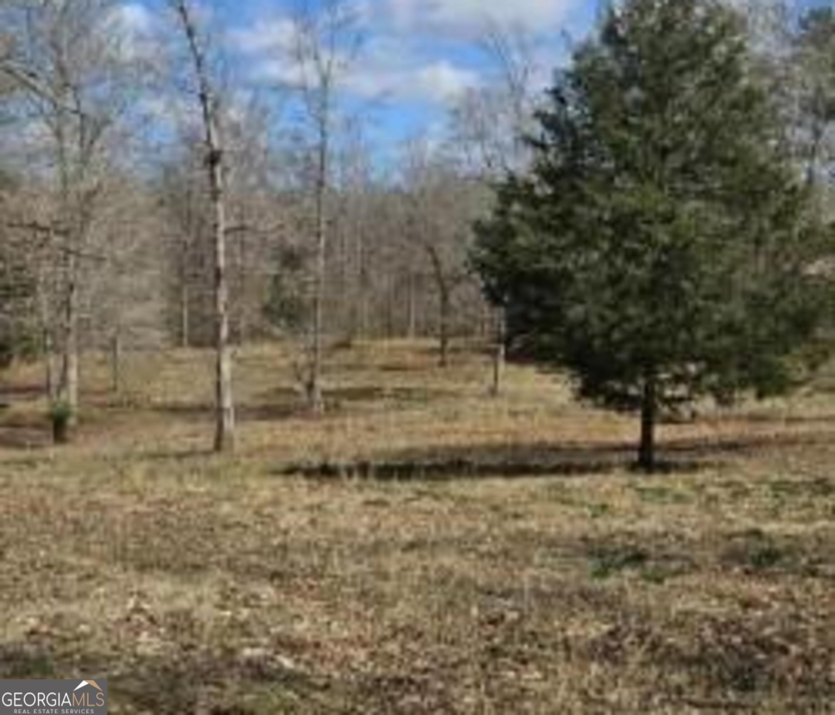 486 Walthall Road Jackson, GA 30233 - Photo 4 of 5