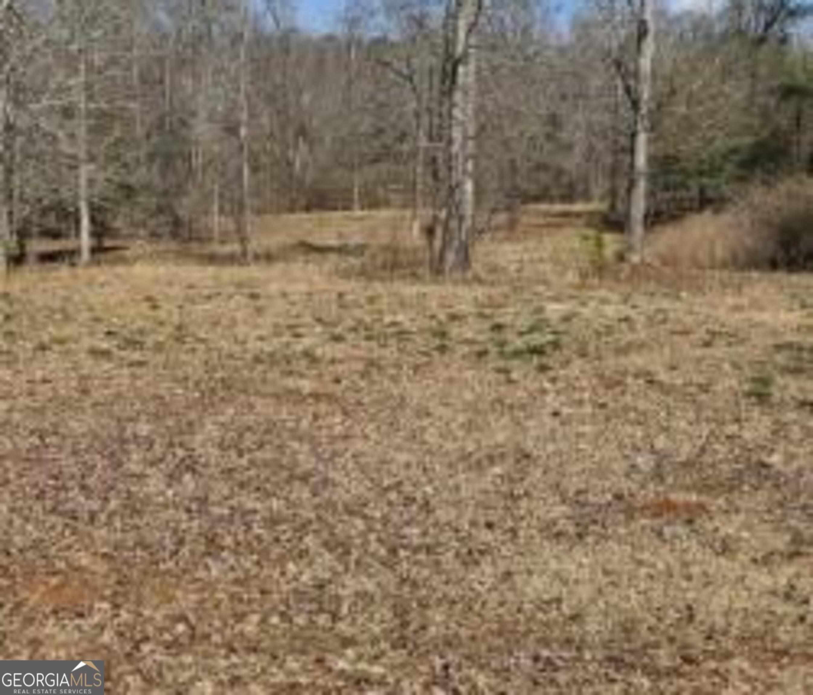 486 Walthall Road Jackson, GA 30233 - Photo 5 of 5