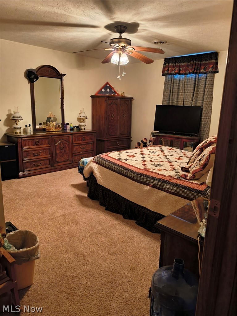 10174 Veto Road Belpre, OH 45714 - Photo 33 of 45 Primary bedroom on lower level.
