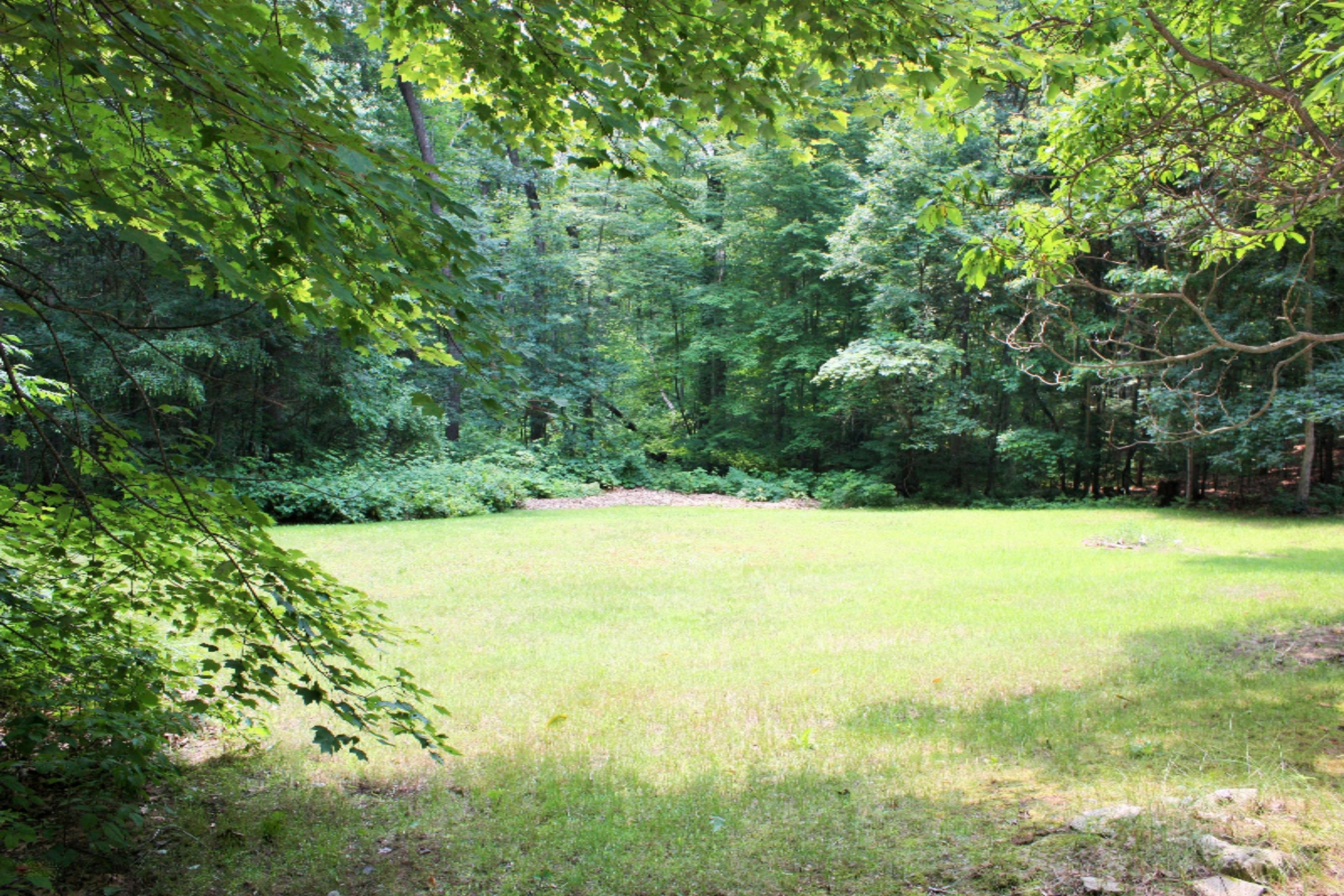 15593 Shady Lane Three Rivers, MI 49093 - Photo 61 of 65 IMG_9725