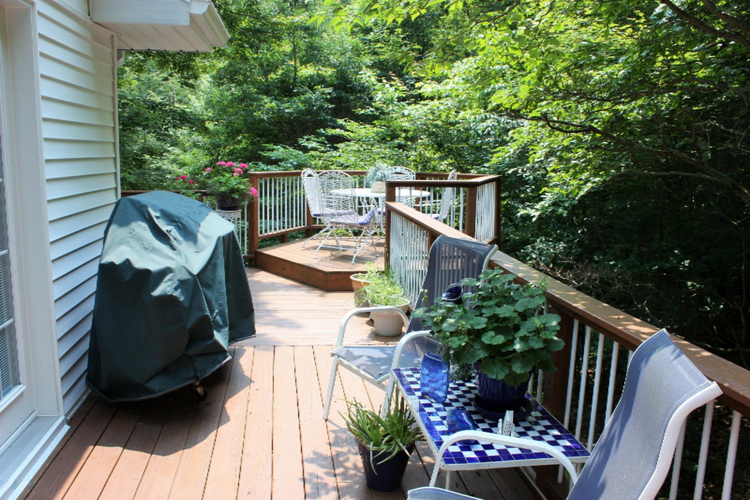 15593 Shady Lane Three Rivers, MI 49093 - Photo 62 of 65 IMG_9729
