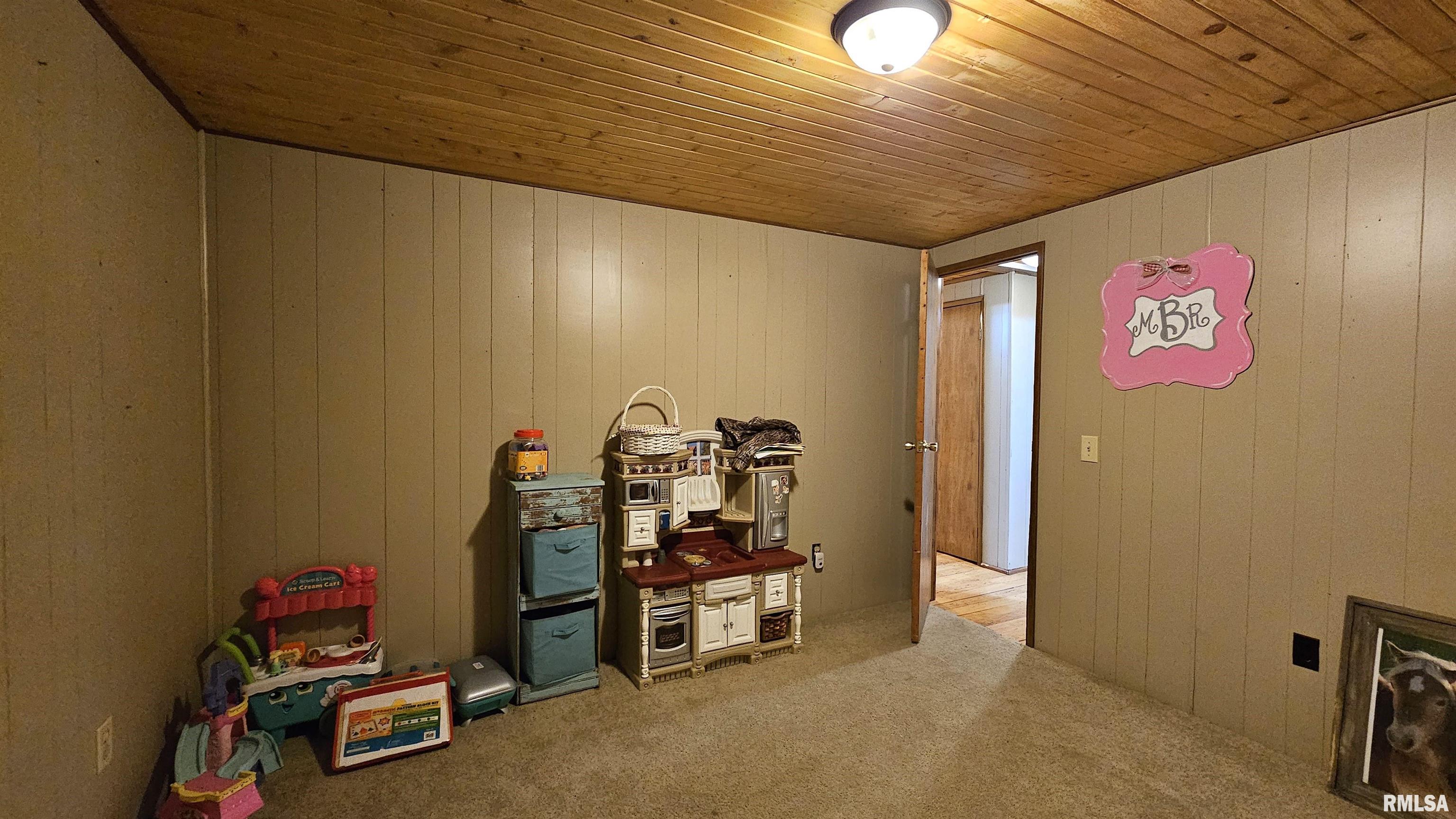 14228 Lake Of Egypt Road Marion, IL 62959 - Photo 9 of 41