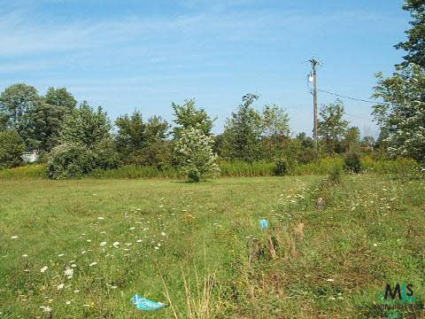 9165 Yager Road Columbus, MI 48063 - Photo 10 of 10 598265-11.JPG