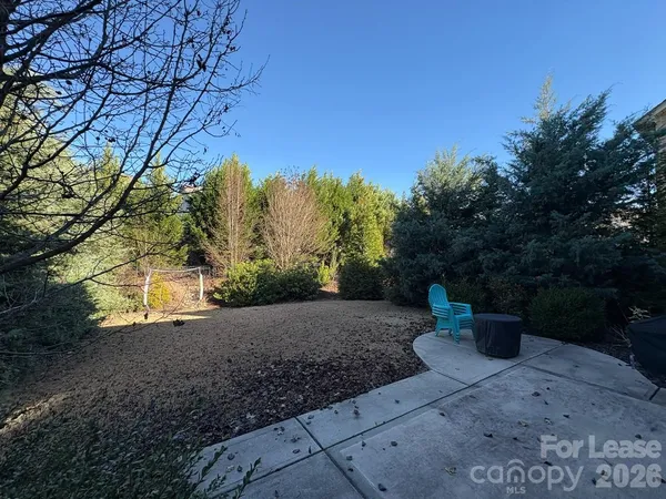 a view of a backyard with plants and trees