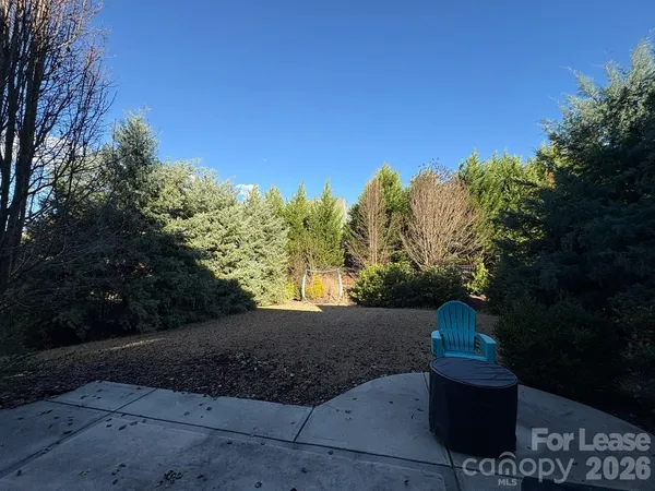 a view of a street from a backyard