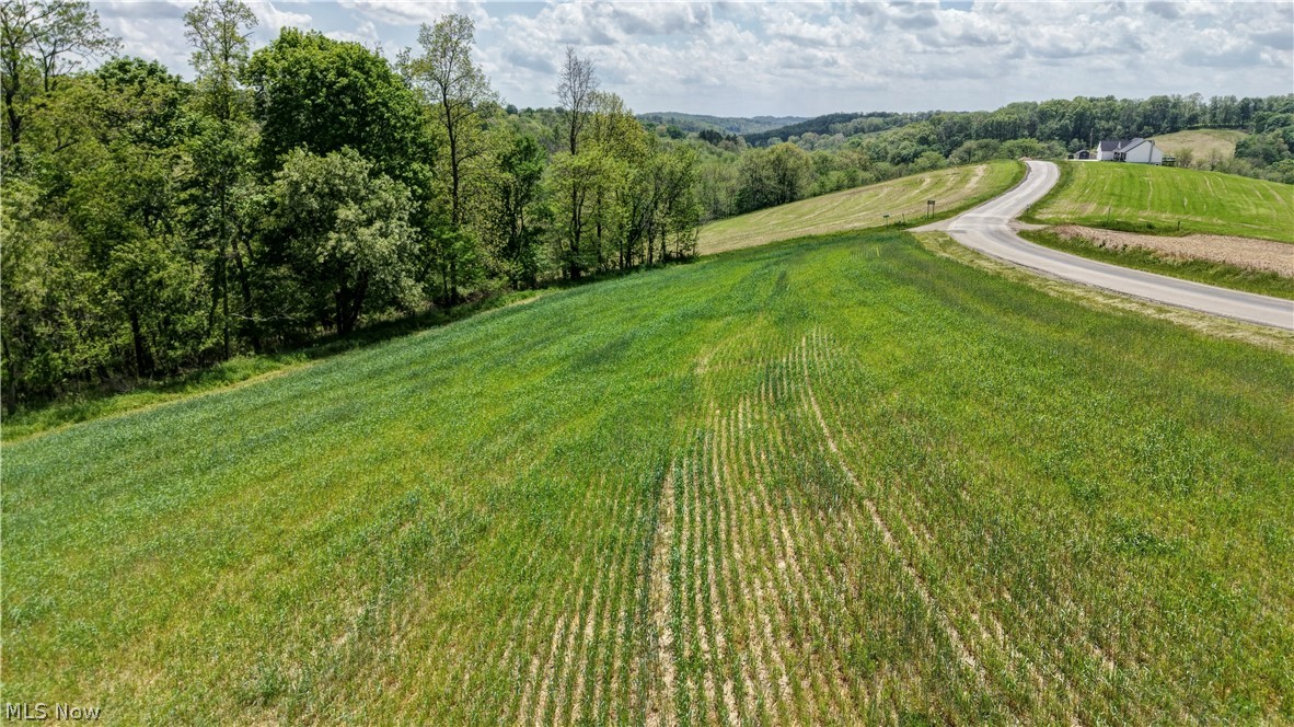 Renner Road Stone Creek, OH 43840 - Photo 10 of 13