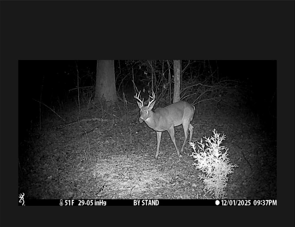 1280 Ragan Road Douglasville, GA 30134 - Photo 31 of 33 a picture of table and chairs