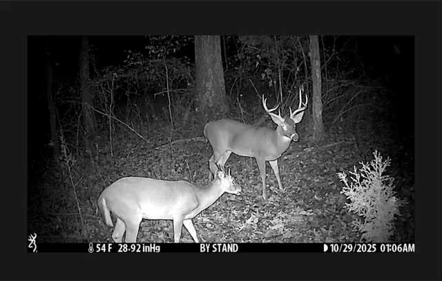 $470,000 | 1280 Ragan Road, Douglasville, GA 30134