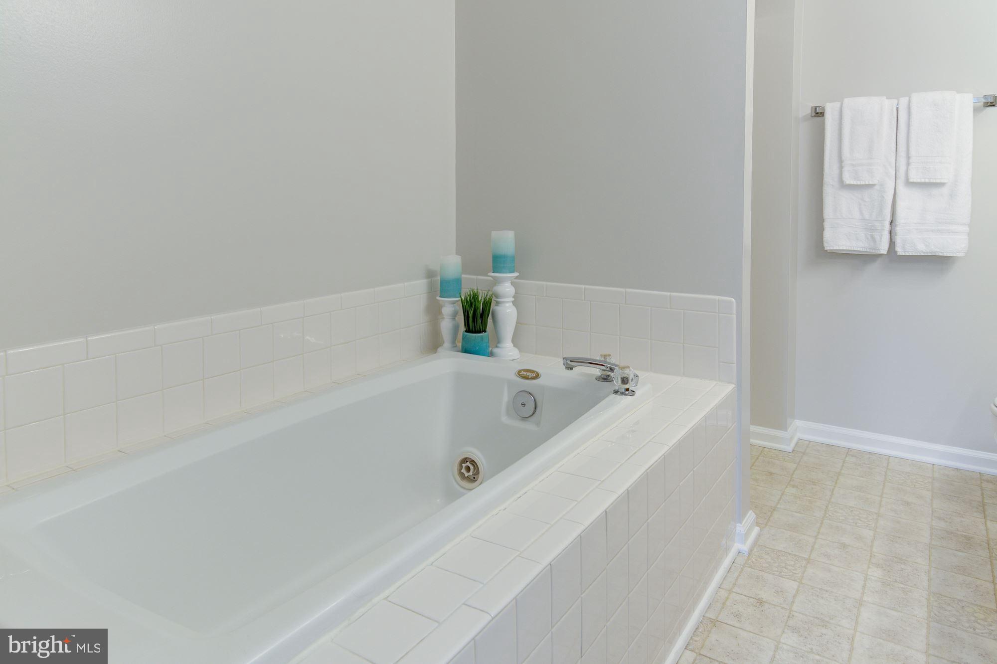 8720 Wadebrook Terrace Springfield, VA 22153 - Photo 13 of 33 En Suite Bathroom - Soaking tub for relaxation