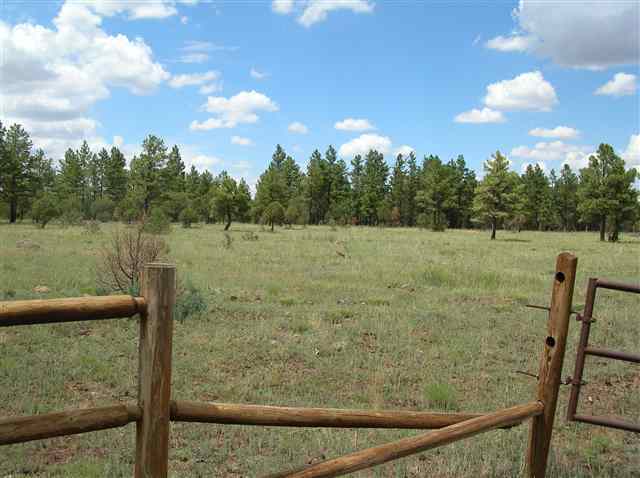 Lot #4 Porter Mountain Road Snowflake, AZ 85937 - Photo 2 of 7