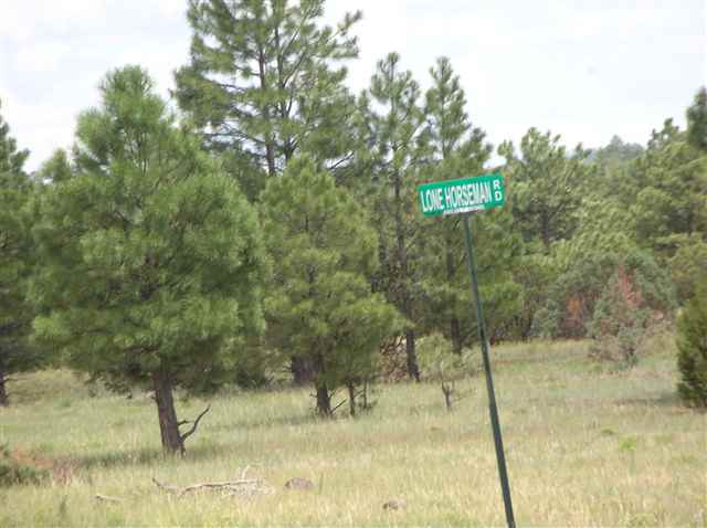Lot #4 Porter Mountain Road Snowflake, AZ 85937 - Photo 3 of 7