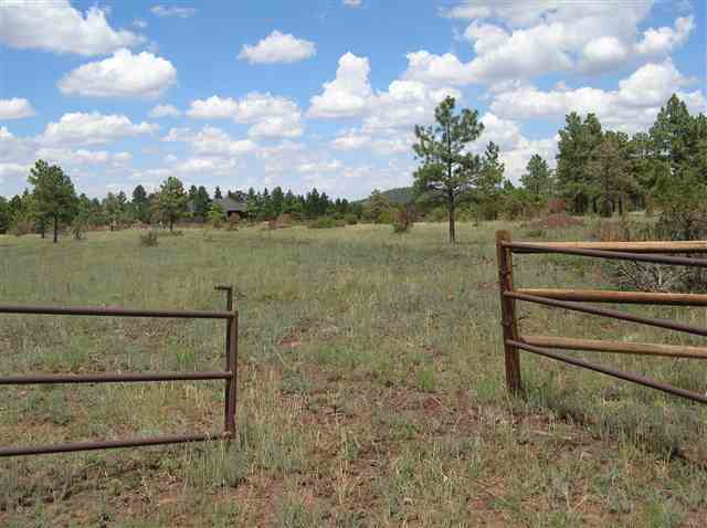 Lot #4 Porter Mountain Road Snowflake, AZ 85937 - Photo 4 of 7