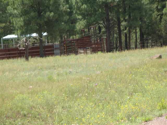 Lot #4 Porter Mountain Road Snowflake, AZ 85937 - Photo 6 of 7
