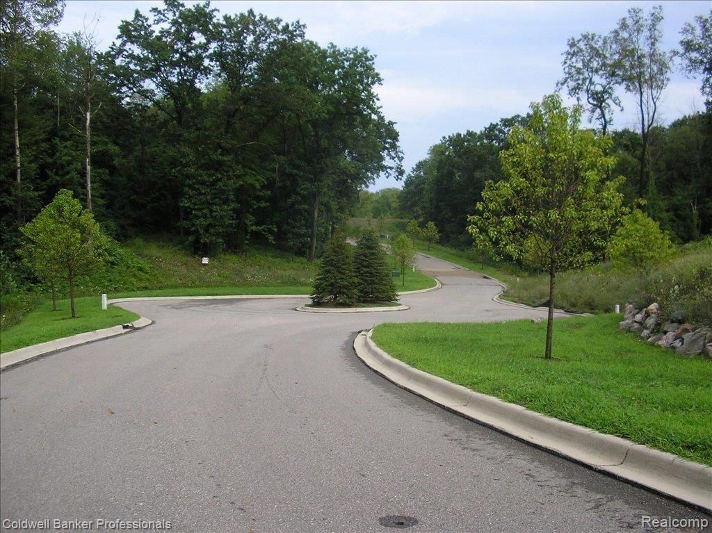 Vac Scenic Valley Road Davisburg, MI 48350 - Photo 1 of 1 Scenic Valley Summer 003