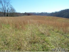 325 Slab Fork Road Spencer, WV 25276 - Photo 12 of 12 Excellent meadowpasture