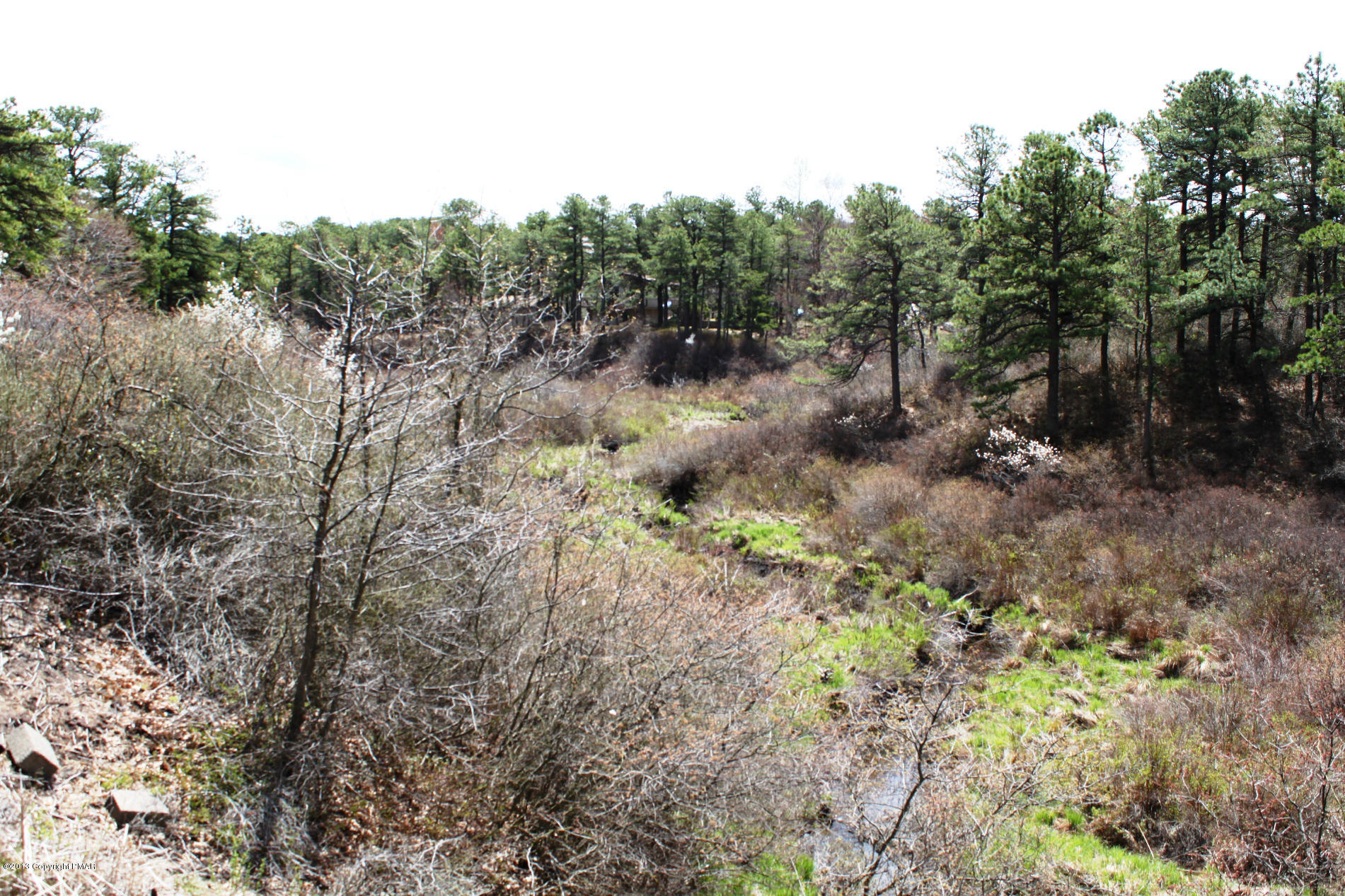 1449 Clover Road Long Pond, PA 18334 - Photo 16 of 29 a view of a forest with trees in the background
