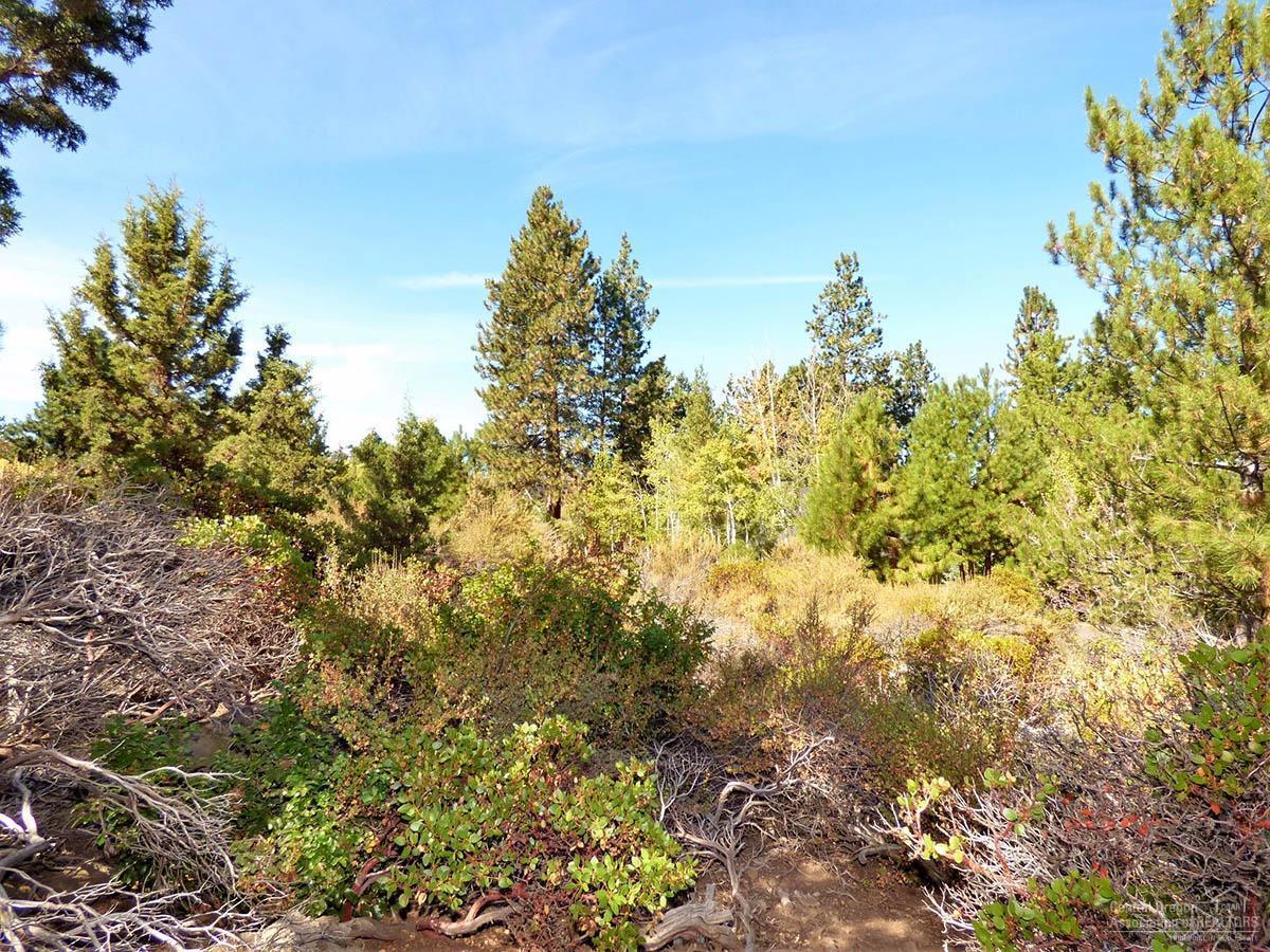 61532 West Ridge Ave Bend Bend, OR 97702 - Photo 21 of 24 Additional Photo