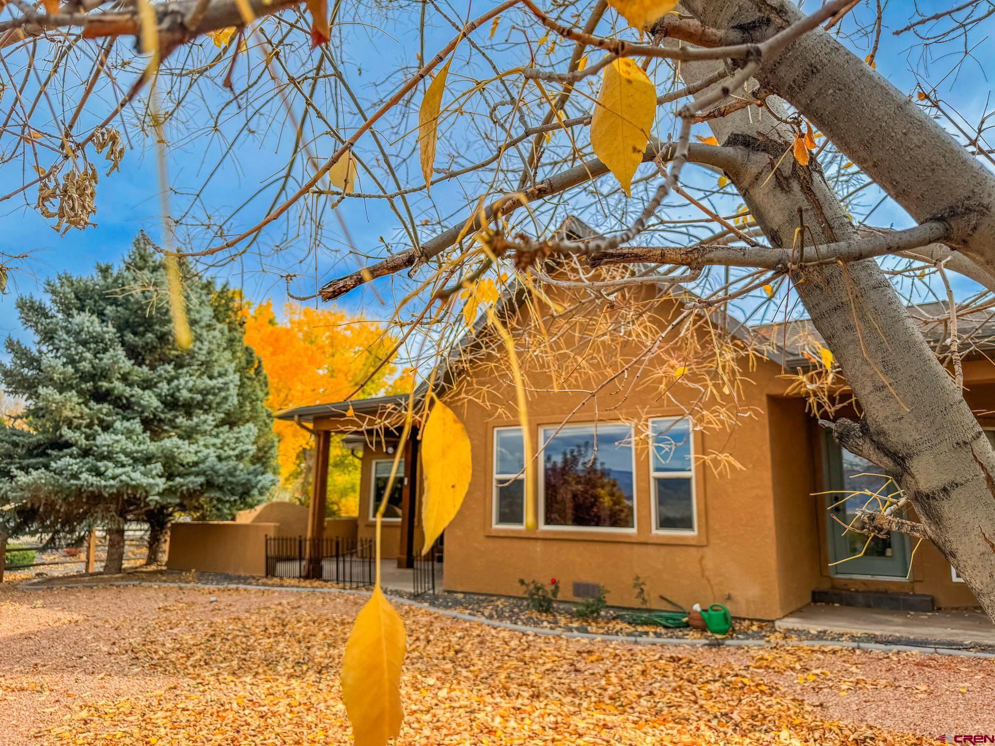 1794 Roubideau Street Delta, CO 81416 - Photo 27 of 35 a view of a house with a tree