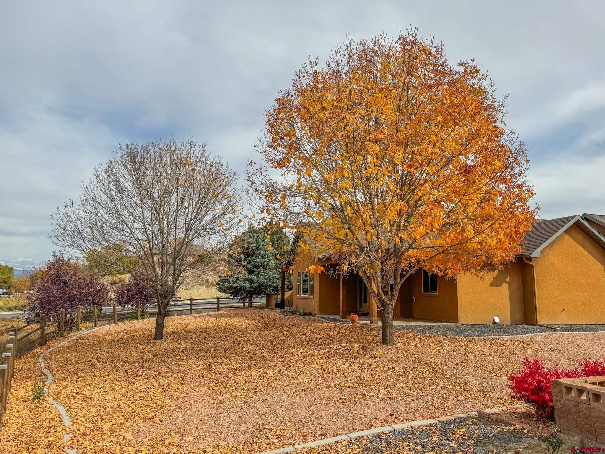1794 Roubideau Street Delta, CO 81416 - Photo 32 of 35 a tree in the middle of a yard