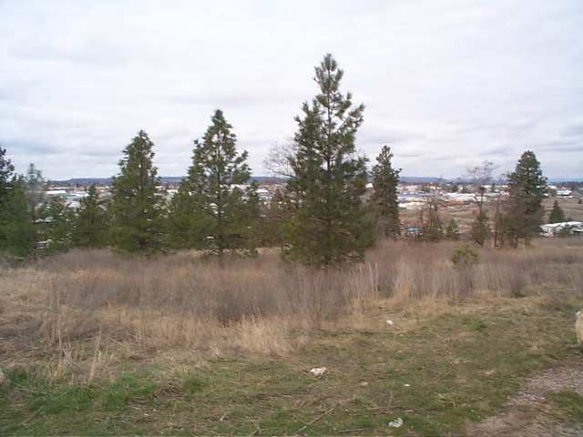 5000 North Dearborn Road Spokane, WA 99217 - Photo 1 of 5