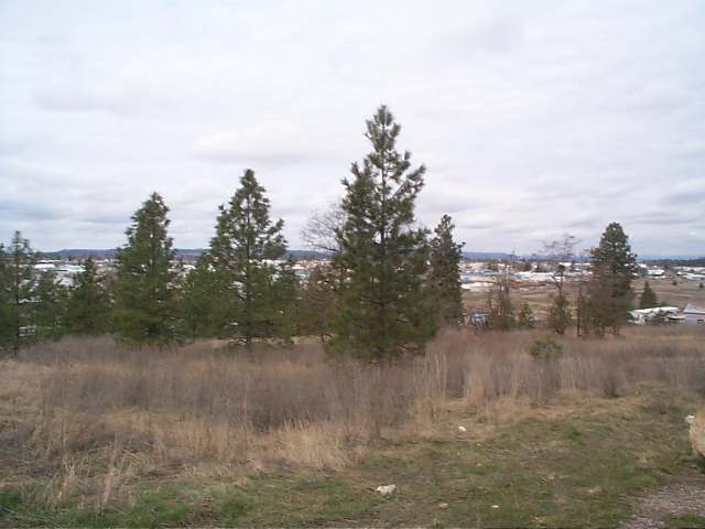 5000 North Dearborn Road Spokane, WA 99217 - Photo 4 of 5