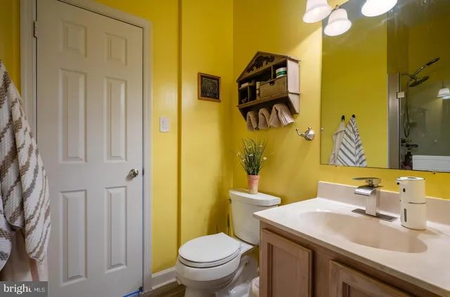 a bathroom with a sink a toilet and shower curtain