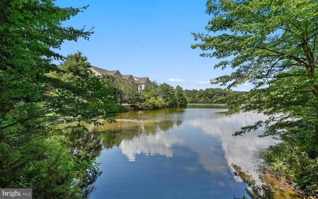a view of a lake in between two large trees