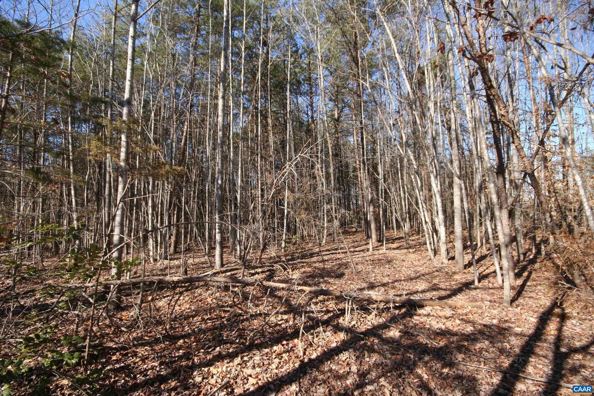 Tba Slate River Mill Road, Unit 2 002 AC Dillwyn, VA 23936 - Photo 19 of 27 a view of wooden fence with some trees