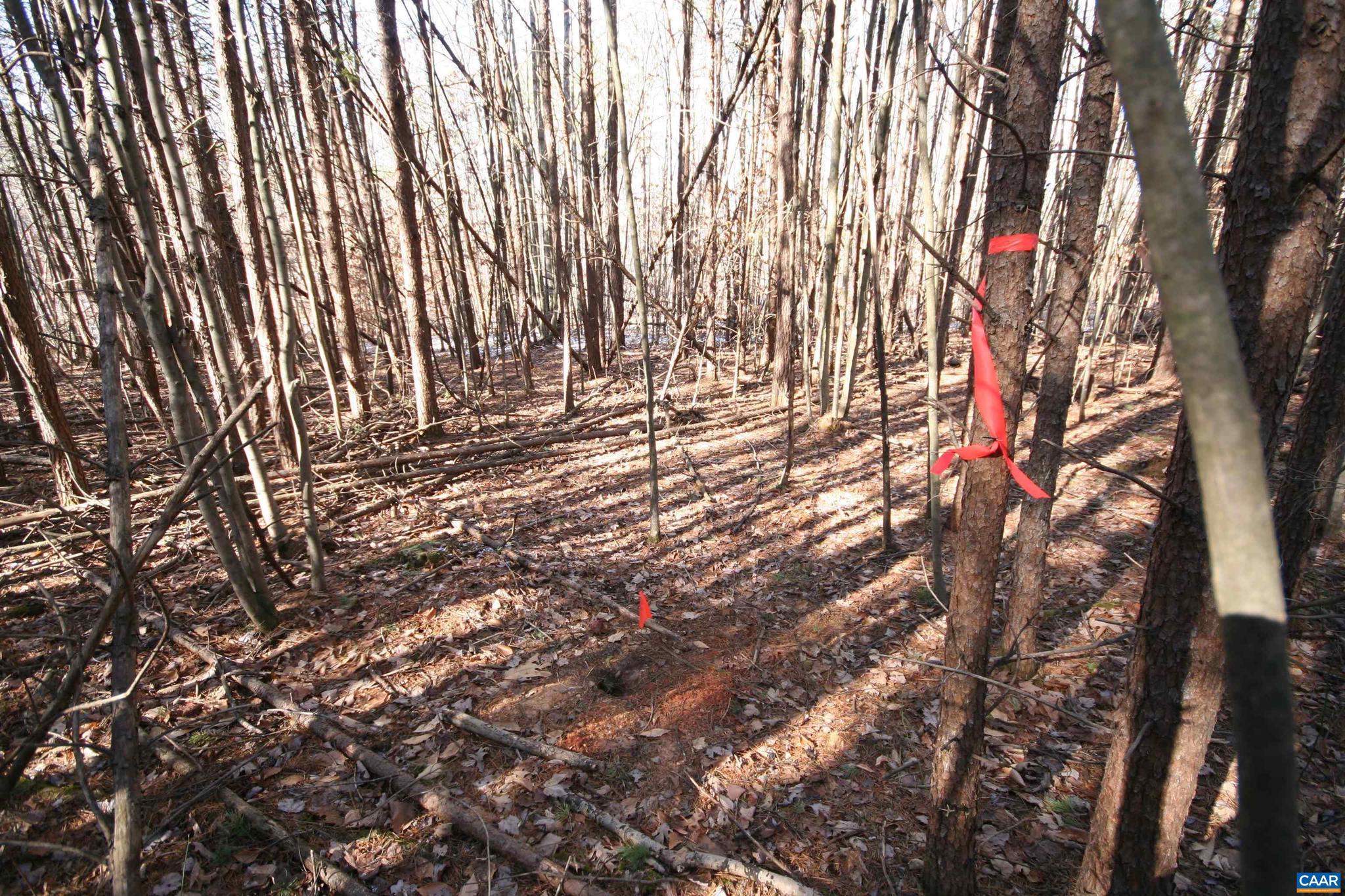Tba Slate River Mill Road, Unit 2 002 AC Dillwyn, VA 23936 - Photo 21 of 27 a view of yard with green space and wooden fence