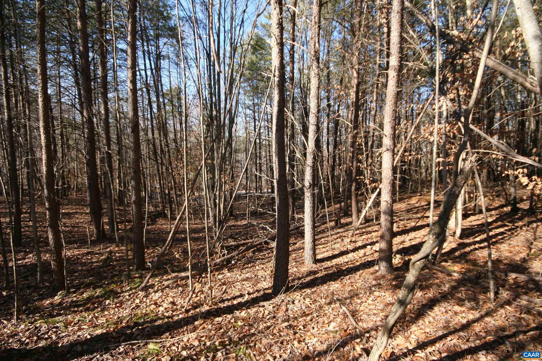 Tba Slate River Mill Road, Unit 2 002 AC Dillwyn, VA 23936 - Photo 26 of 27 a view of backyard with wooden fence
