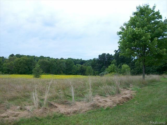 965 North Latson Road Howell, MI 48843 - Photo 10 of 10 100_0473