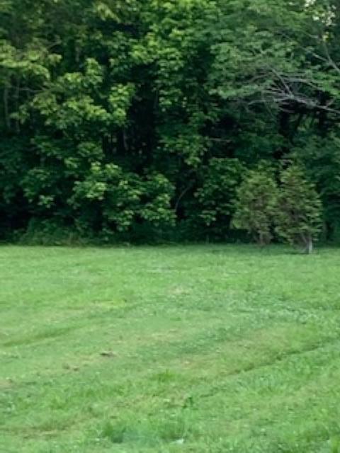 2688 Kidwell Ridge Road Morristown, TN 37814 - Photo 9 of 10 KIDWELL RIDGE7