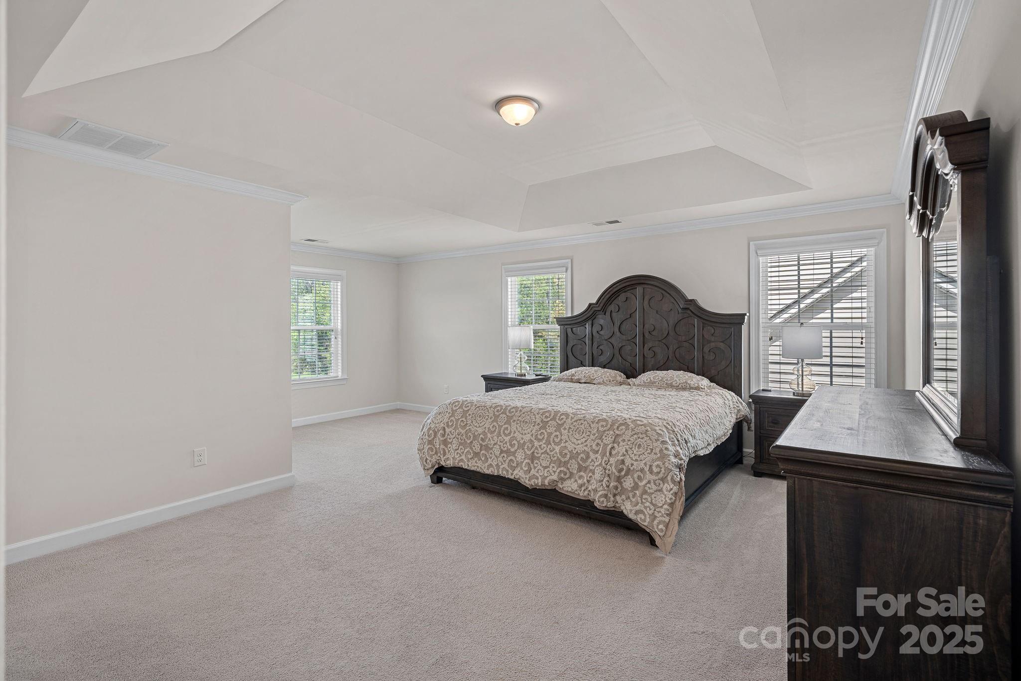 9867 Travertine Trail Davidson, NC 28036 - Photo 23 of 45