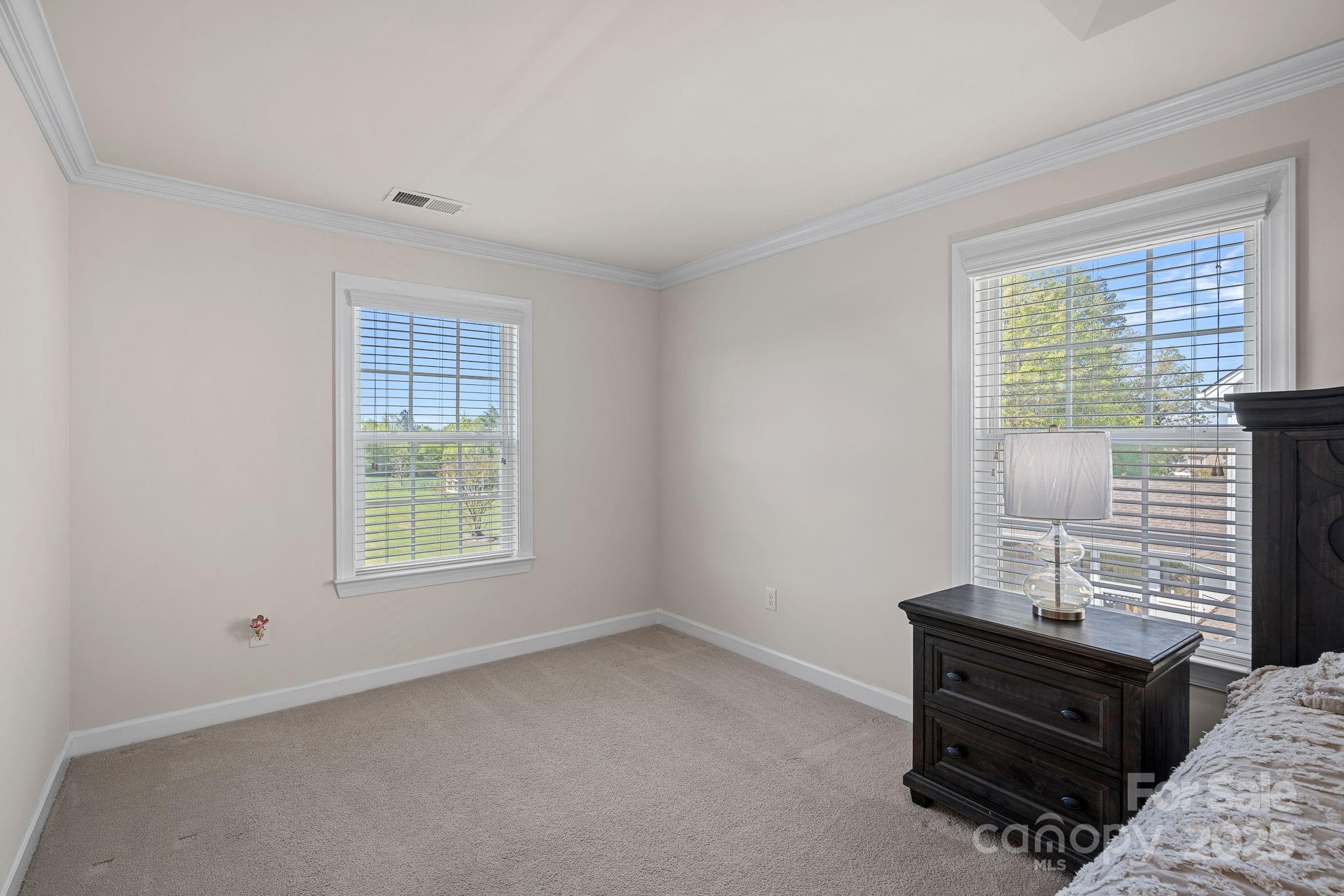 9867 Travertine Trail Davidson, NC 28036 - Photo 24 of 45