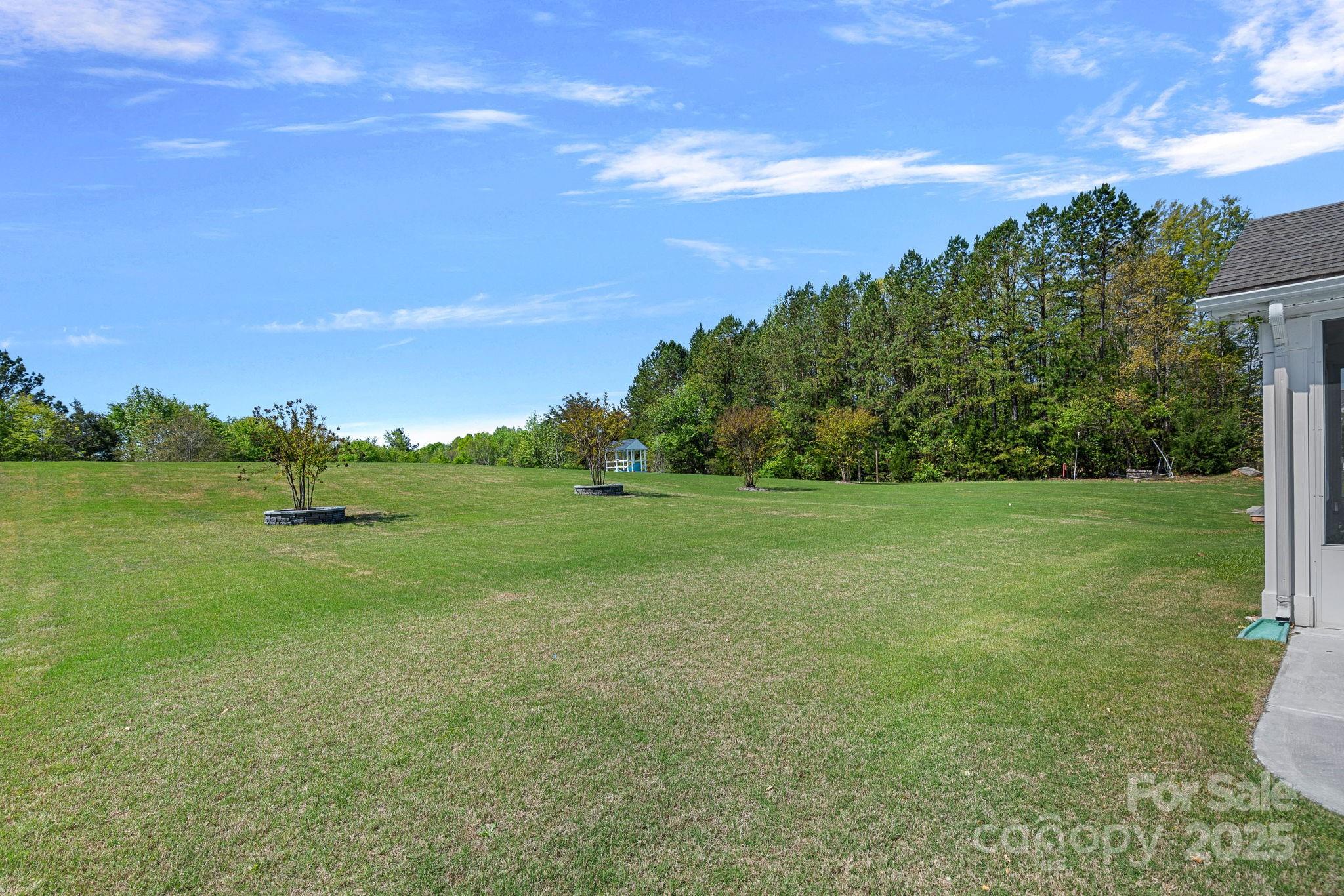 9867 Travertine Trail Davidson, NC 28036 - Photo 36 of 45