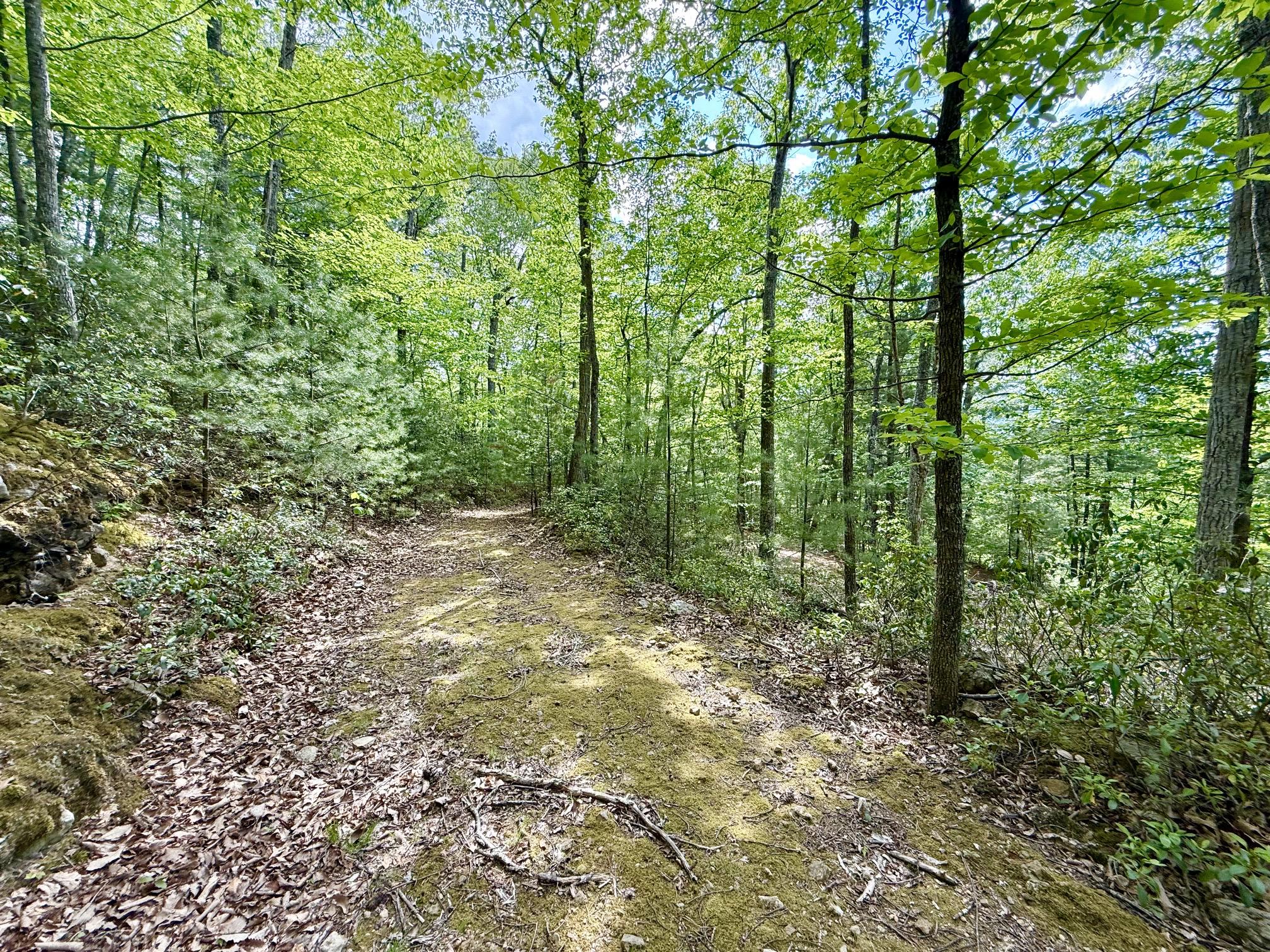 Hawks Ridge Road Franklin, WV 26807 - Photo 4 of 5