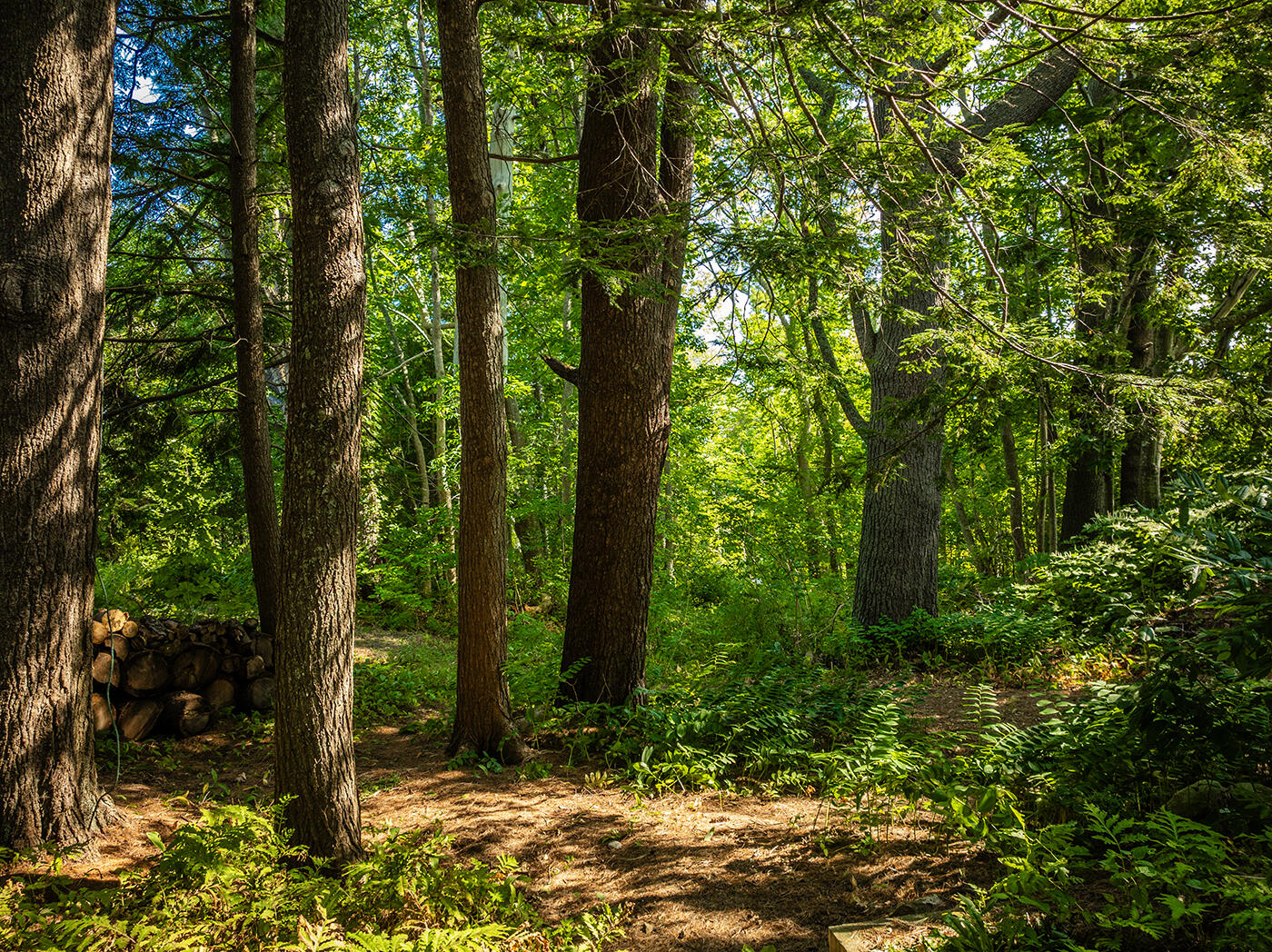 53 Saturday Cove Road Northport, ME 04849 - Photo 43 of 51 DJI_0552