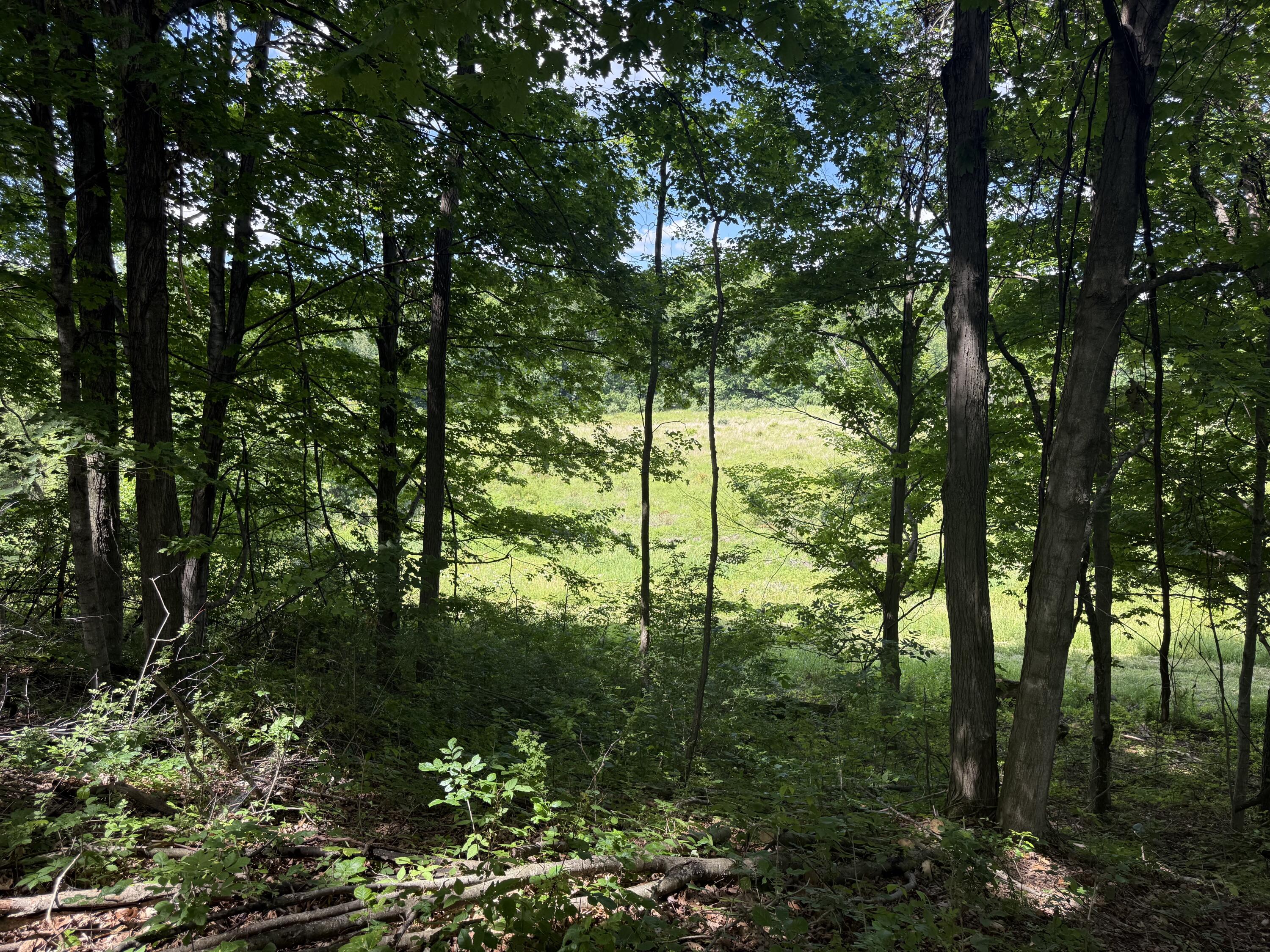 Vl Tamarack Road Pittsford, MI 49271 - Photo 12 of 24 H31