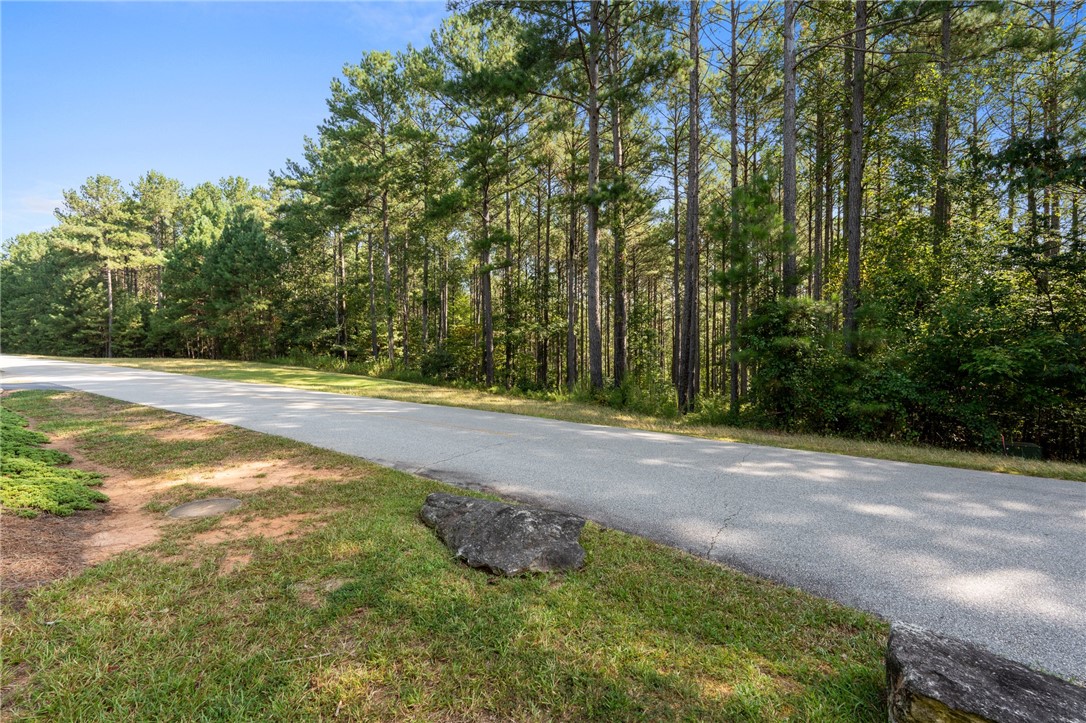 205 Long Ridge Road Sunset, SC 29685 - Photo 11 of 14