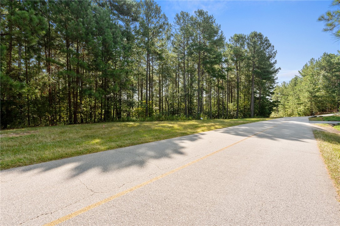 205 Long Ridge Road Sunset, SC 29685 - Photo 12 of 14