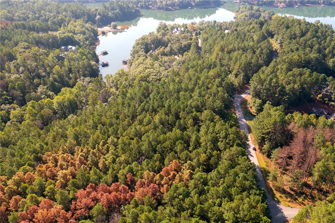 205 Long Ridge Road Sunset, SC 29685 - Photo 4 of 14